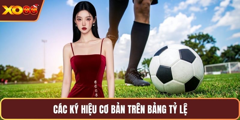 Các ký hiệu cơ bản trên bảng tỷ lệ