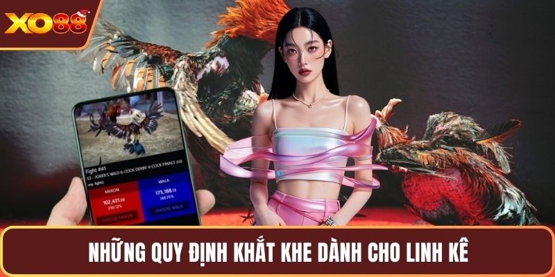 Những quy định khắt khe dành cho linh kê