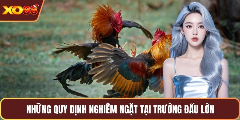 Hòa mình vào không gian bắn cá vàng