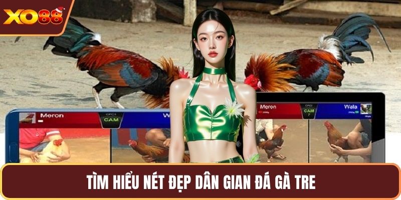 Tìm hiểu nét đẹp dân gian đá gà tre